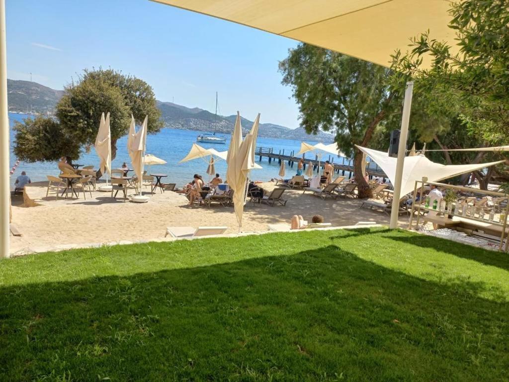 Farrys Boutique Hotel & Beach Club - 亚力卡瓦克 外观 照片