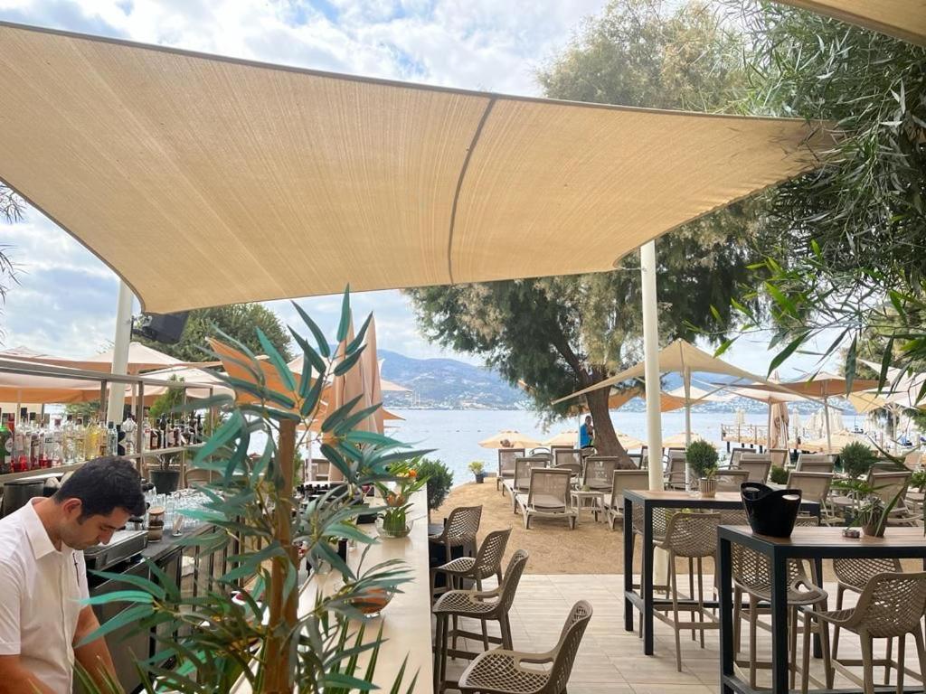 Farrys Boutique Hotel & Beach Club - 亚力卡瓦克 外观 照片